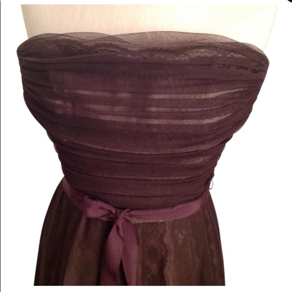 BCBG Lace & Tulle Dress